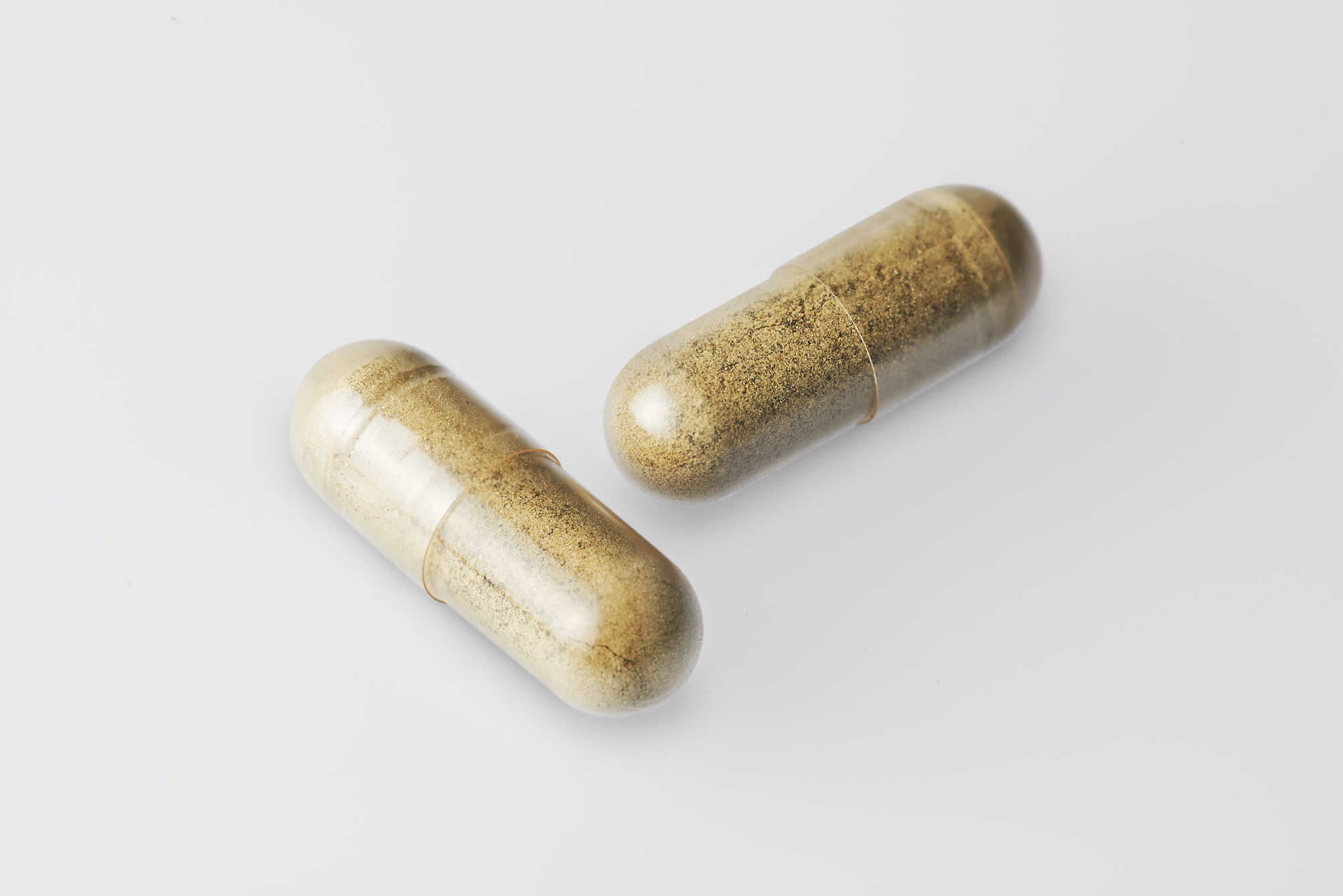 海洋生物資源の保護に配慮した収穫イメージ